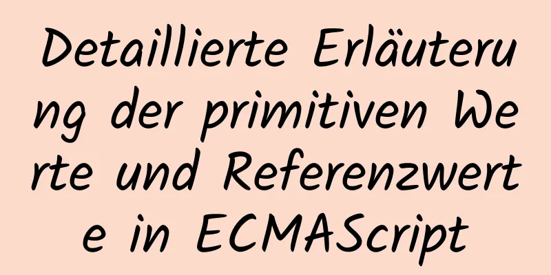 Detaillierte Erläuterung der primitiven Werte und Referenzwerte in ECMAScript