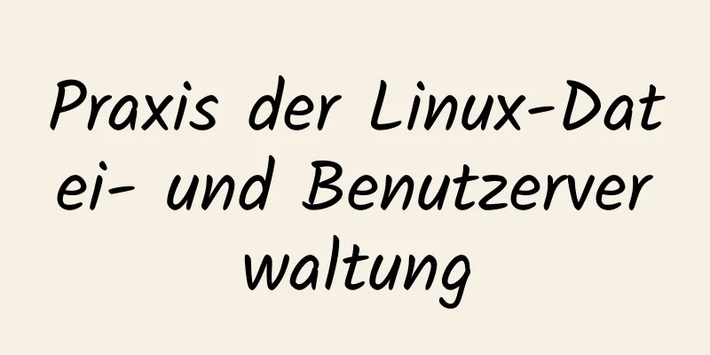 Praxis der Linux-Datei- und Benutzerverwaltung