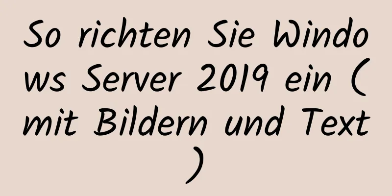 So richten Sie Windows Server 2019 ein (mit Bildern und Text)