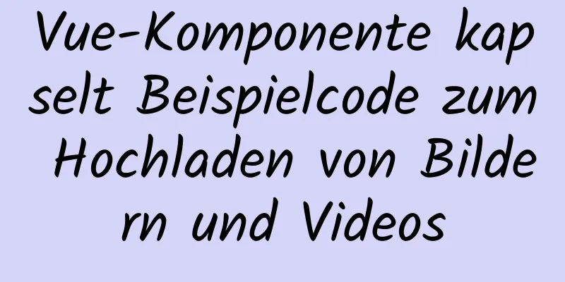 Vue-Komponente kapselt Beispielcode zum Hochladen von Bildern und Videos