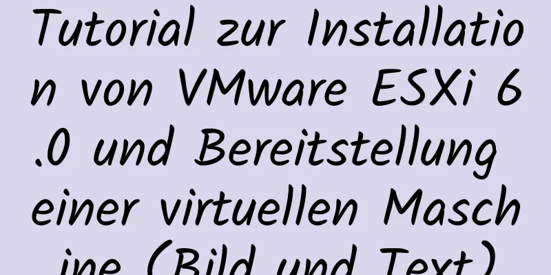 Tutorial zur Installation von VMware ESXi 6.0 und Bereitstellung einer virtuellen Maschine (Bild und Text)