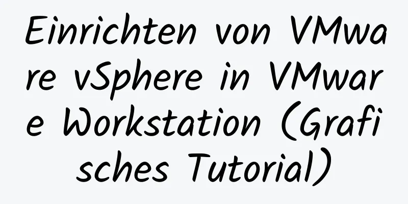 Einrichten von VMware vSphere in VMware Workstation (Grafisches Tutorial)