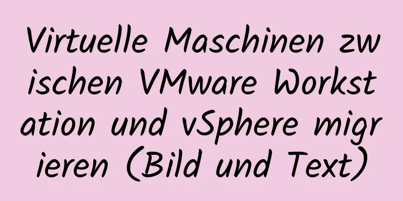 Virtuelle Maschinen zwischen VMware Workstation und vSphere migrieren (Bild und Text)