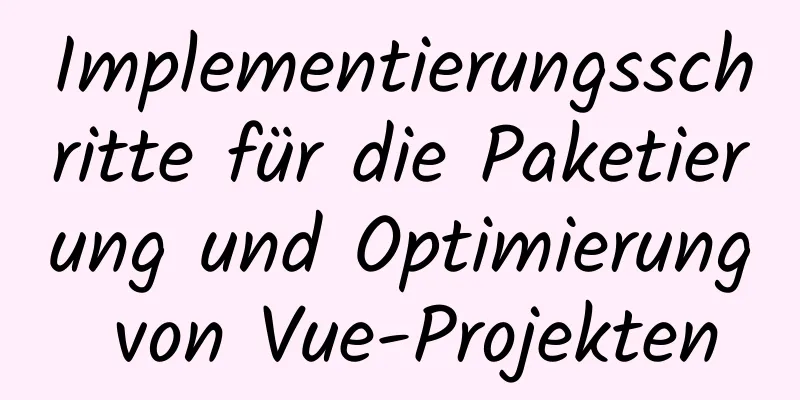 Implementierungsschritte für die Paketierung und Optimierung von Vue-Projekten