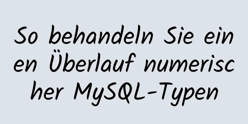 So behandeln Sie einen Überlauf numerischer MySQL-Typen