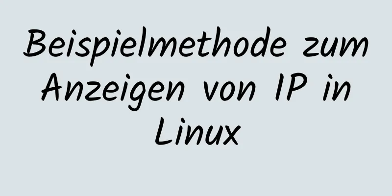 Beispielmethode zum Anzeigen von IP in Linux