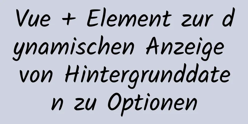 Vue + Element zur dynamischen Anzeige von Hintergrunddaten zu Optionen