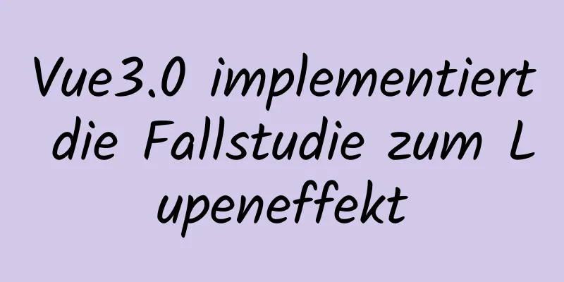 Vue3.0 implementiert die Fallstudie zum Lupeneffekt