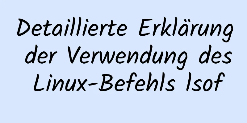 Detaillierte Erklärung der Verwendung des Linux-Befehls lsof