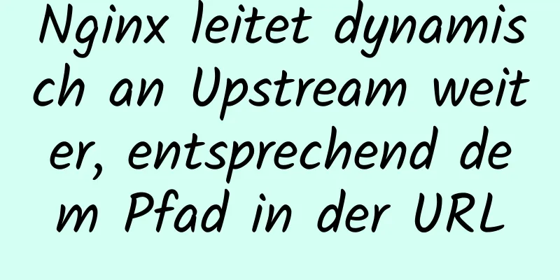 Nginx leitet dynamisch an Upstream weiter, entsprechend dem Pfad in der URL