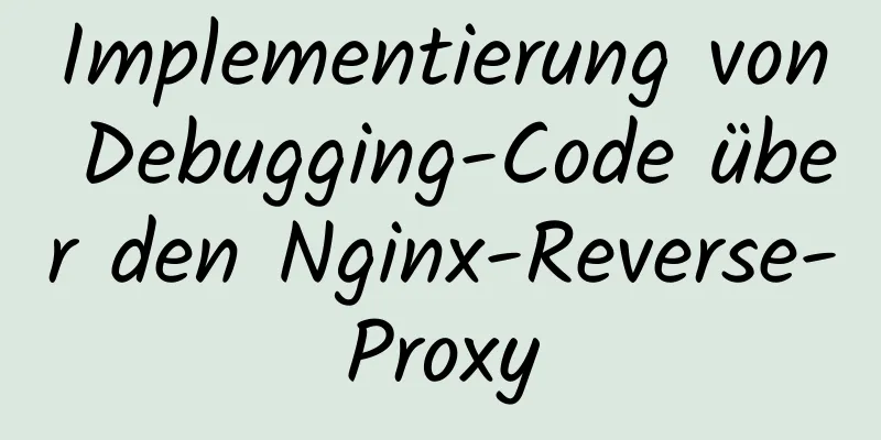 Implementierung von Debugging-Code über den Nginx-Reverse-Proxy