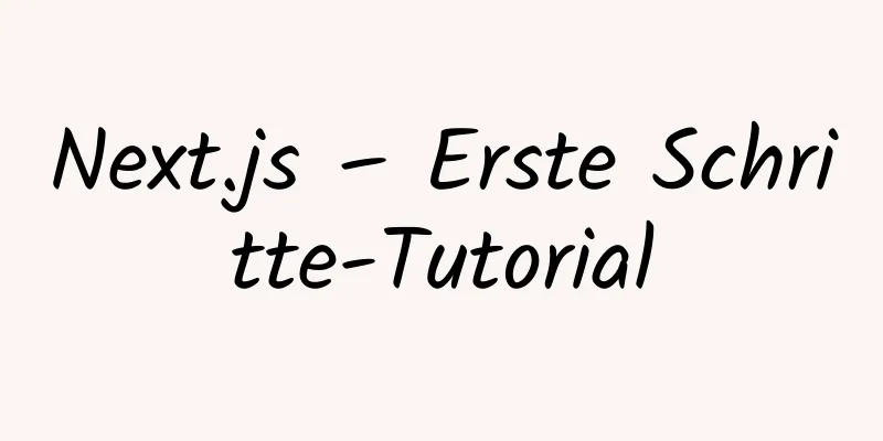 Next.js – Erste Schritte-Tutorial