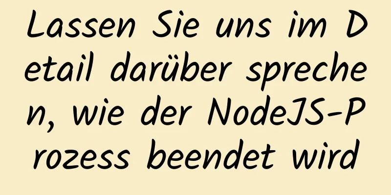 Lassen Sie uns im Detail darüber sprechen, wie der NodeJS-Prozess beendet wird