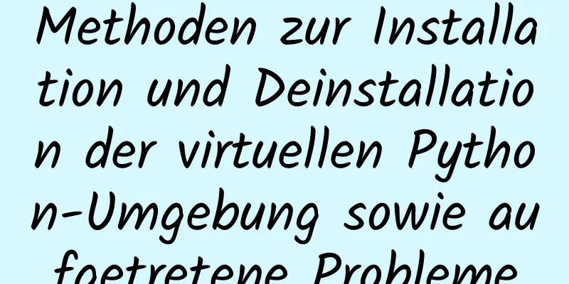 Methoden zur Installation und Deinstallation der virtuellen Python-Umgebung sowie aufgetretene Probleme