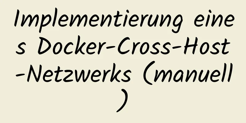 Implementierung eines Docker-Cross-Host-Netzwerks (manuell)