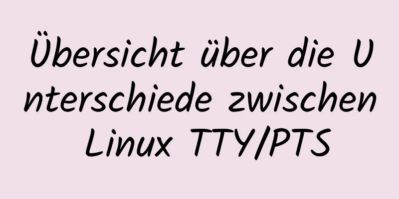 Übersicht über die Unterschiede zwischen Linux TTY/PTS