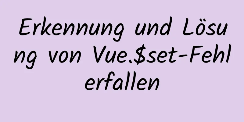 Erkennung und Lösung von Vue.$set-Fehlerfallen