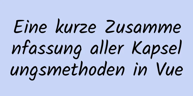 Eine kurze Zusammenfassung aller Kapselungsmethoden in Vue