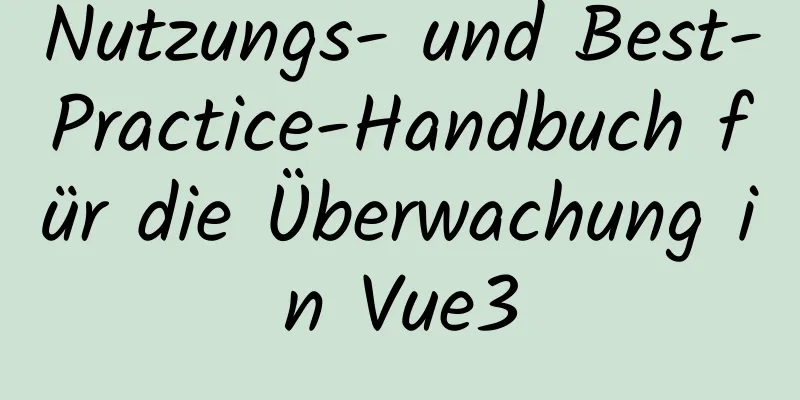 Nutzungs- und Best-Practice-Handbuch für die Überwachung in Vue3