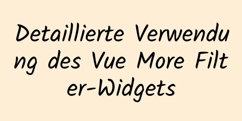 Detaillierte Verwendung des Vue More Filter-Widgets