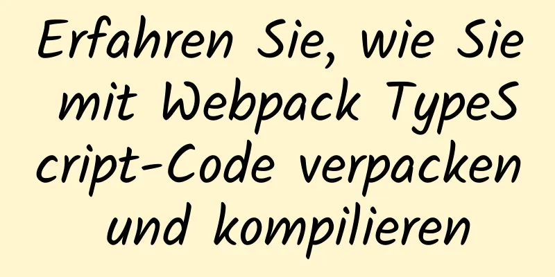 Erfahren Sie, wie Sie mit Webpack TypeScript-Code verpacken und kompilieren