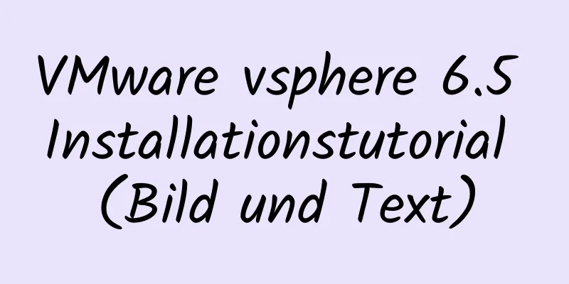 VMware vsphere 6.5 Installationstutorial (Bild und Text)