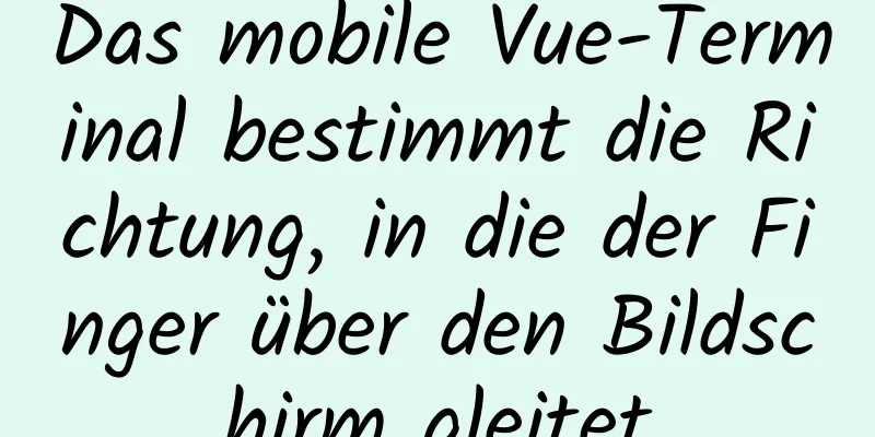 Das mobile Vue-Terminal bestimmt die Richtung, in die der Finger über den Bildschirm gleitet