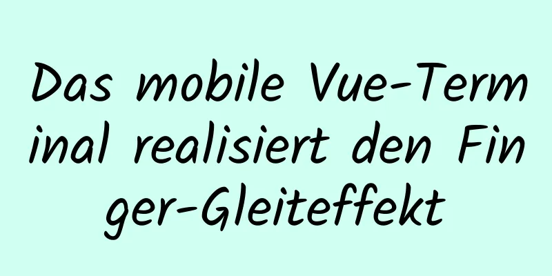 Das mobile Vue-Terminal realisiert den Finger-Gleiteffekt