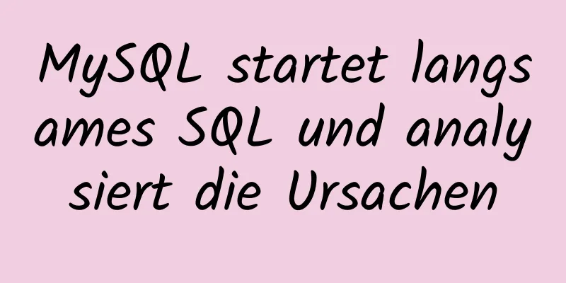 MySQL startet langsames SQL und analysiert die Ursachen