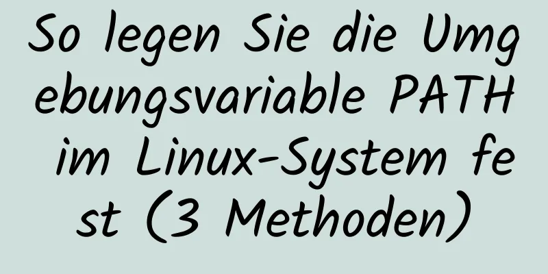 So legen Sie die Umgebungsvariable PATH im Linux-System fest (3 Methoden)