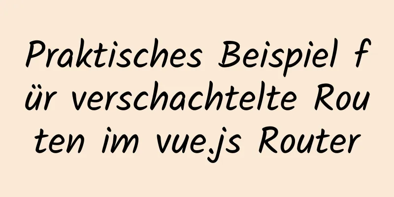 Praktisches Beispiel für verschachtelte Routen im vue.js Router