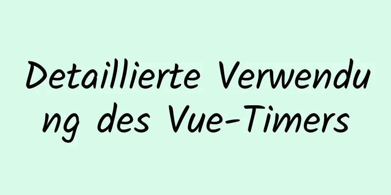 Detaillierte Verwendung des Vue-Timers