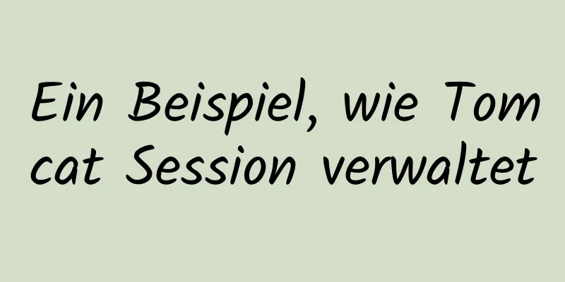 Ein Beispiel, wie Tomcat Session verwaltet