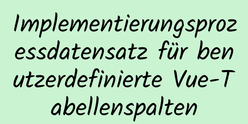 Implementierungsprozessdatensatz für benutzerdefinierte Vue-Tabellenspalten