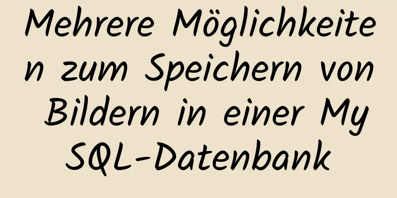 Mehrere Möglichkeiten zum Speichern von Bildern in einer MySQL-Datenbank