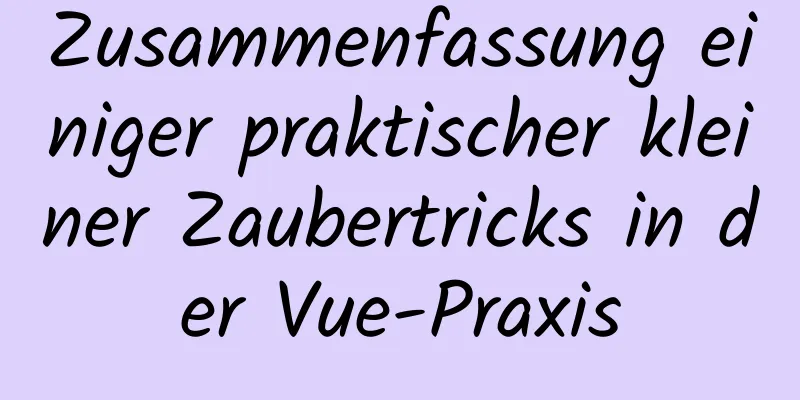 Zusammenfassung einiger praktischer kleiner Zaubertricks in der Vue-Praxis