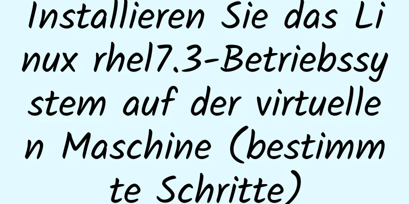 Installieren Sie das Linux rhel7.3-Betriebssystem auf der virtuellen Maschine (bestimmte Schritte)