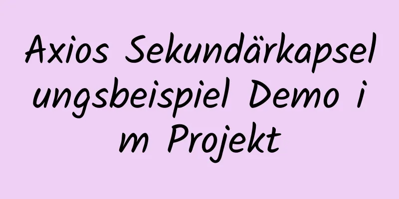 Axios Sekundärkapselungsbeispiel Demo im Projekt