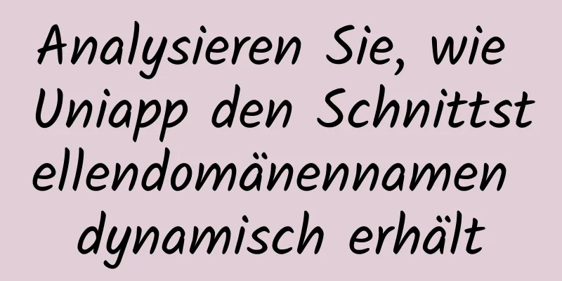 Analysieren Sie, wie Uniapp den Schnittstellendomänennamen dynamisch erhält