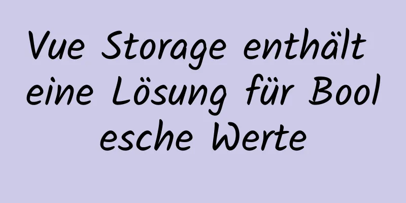 Vue Storage enthält eine Lösung für Boolesche Werte