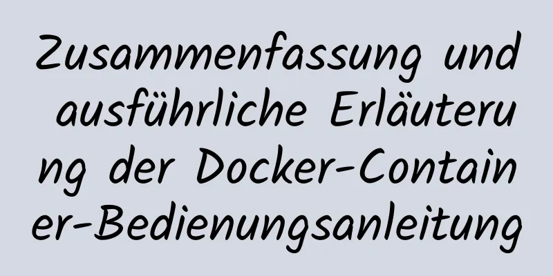 Zusammenfassung und ausführliche Erläuterung der Docker-Container-Bedienungsanleitung