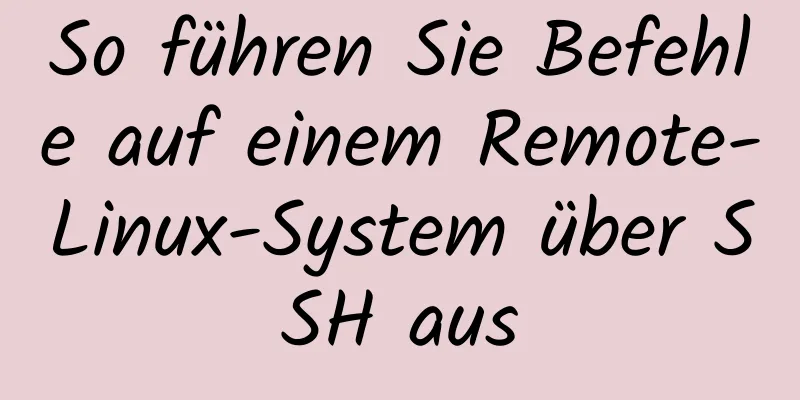 So führen Sie Befehle auf einem Remote-Linux-System über SSH aus