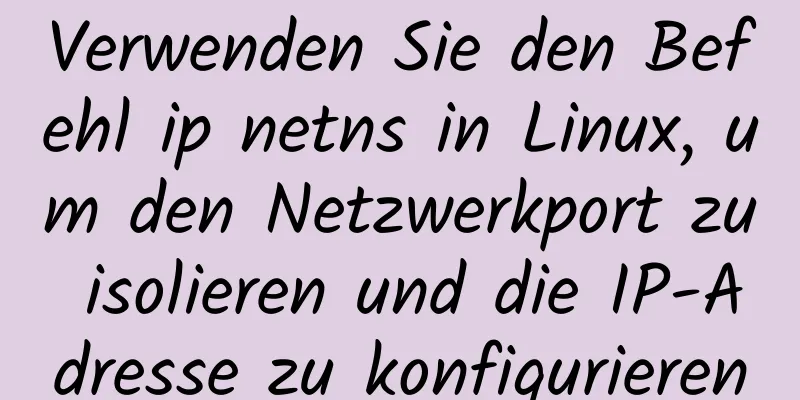 Verwenden Sie den Befehl ip netns in Linux, um den Netzwerkport zu isolieren und die IP-Adresse zu konfigurieren