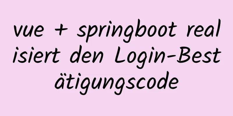 vue + springboot realisiert den Login-Bestätigungscode