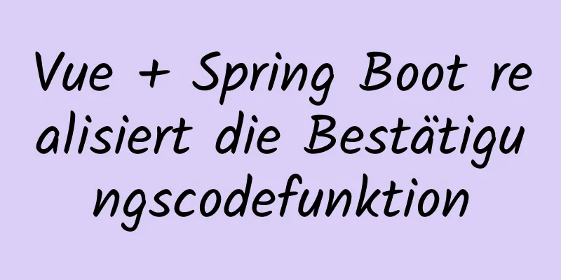 Vue + Spring Boot realisiert die Bestätigungscodefunktion