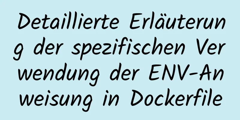 Detaillierte Erläuterung der spezifischen Verwendung der ENV-Anweisung in Dockerfile