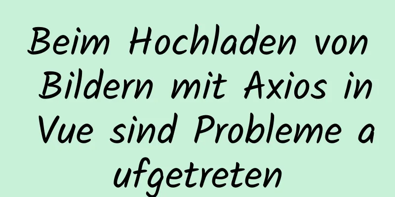 Beim Hochladen von Bildern mit Axios in Vue sind Probleme aufgetreten