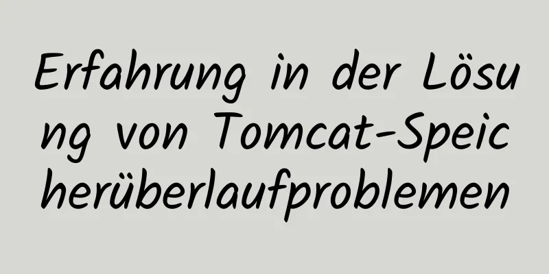 Erfahrung in der Lösung von Tomcat-Speicherüberlaufproblemen