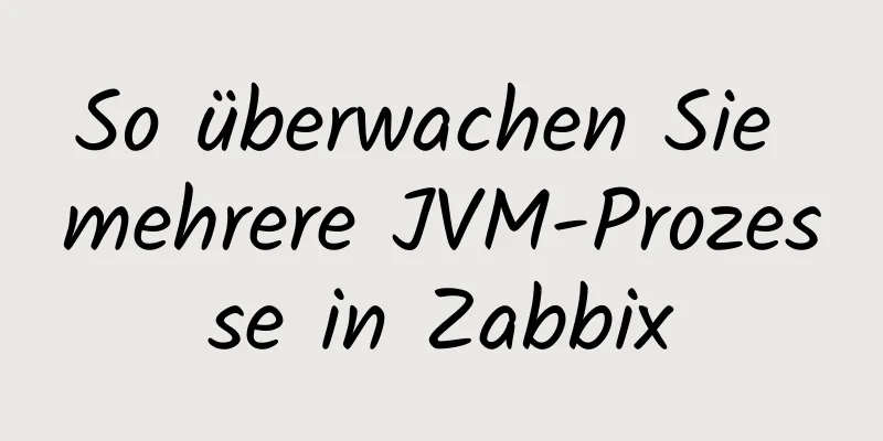 So überwachen Sie mehrere JVM-Prozesse in Zabbix