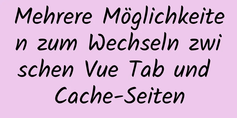 Mehrere Möglichkeiten zum Wechseln zwischen Vue Tab und Cache-Seiten